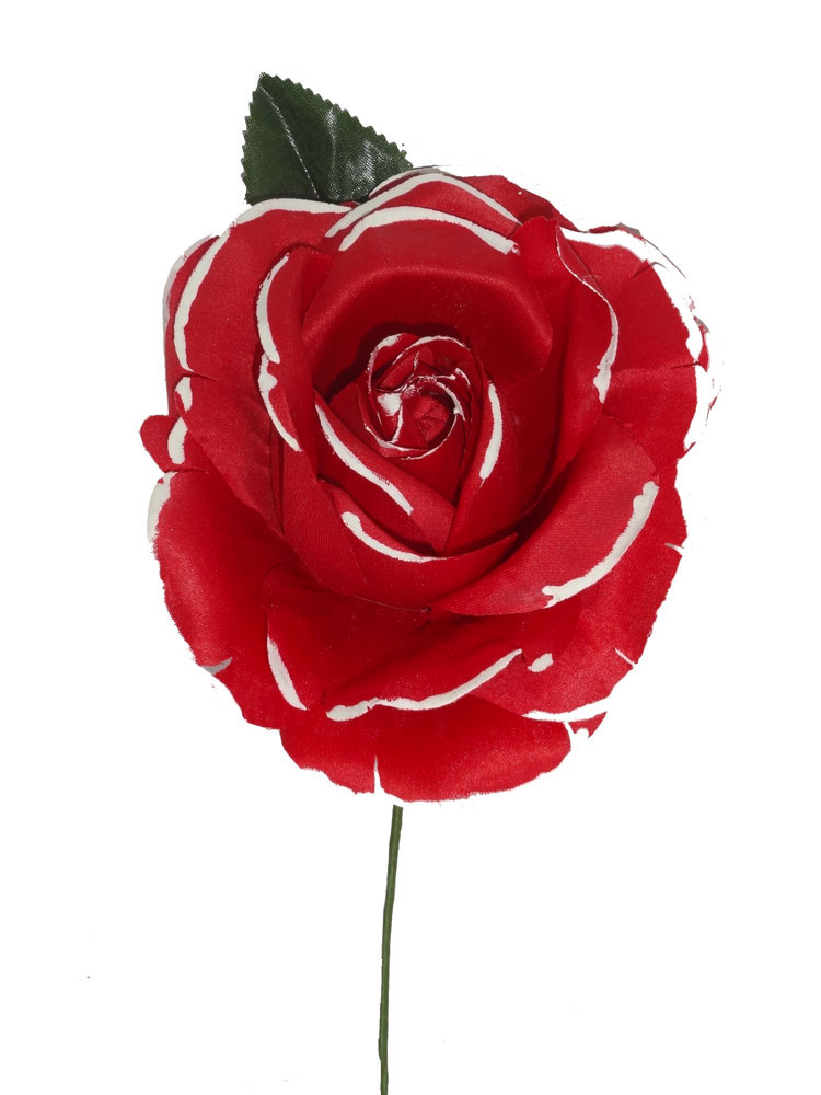 FLEUR FLAMENCO BICOLOR A QUEUE EN 6 COULEURS – Image 3