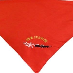 FOULARD CARRE COREDOR  SAN-FERMIN